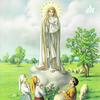 undefined Our Lady of Fatima Podcast