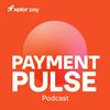 undefined Payment Pulse