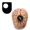 undefined Philosophy: Justice and Morality - Audio