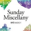 undefined Sunday Miscellany
