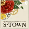 undefined S-Town Review