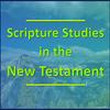 undefined Scripture Studies in the New Testament - A Verse-by-Verse Bible Study