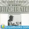 undefined Selected Short Stories by F. Scott Fitzgerald