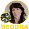 undefined Seodra - Irish Language Podcast