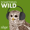undefined Something Wild