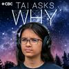 undefined Tai Asks Why