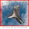 undefined Carton d'invitation