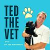 undefined Ted The Vet : Expert Advice and Insightful Tips to Care for your Pets