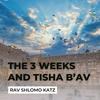 undefined The 3 Weeks and Tisha B'Av