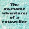 undefined The awesome adventures of a rottweiler