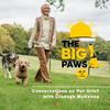 undefined The Big Paws Podcast