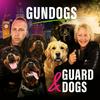 undefined Gundogs and Guard dogs