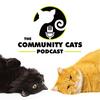 undefined The Community Cats Podcast