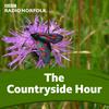 undefined The Countryside Hour