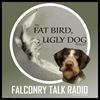 undefined The Fat Bird, Ugly Dog Podcast