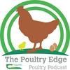 undefined The Poultry Edge