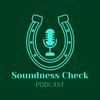 undefined The Soundness Check