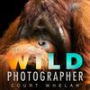 undefined The Wild Photographer