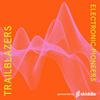 undefined Trailblazers : electronic pioneers
