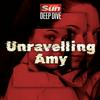 undefined Unravelling Amy