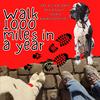 undefined Walk 1000 miles a Year; Can a Great Dane and a Couch Potato #walk1000miles 2021?