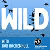 undefined WILD: The Warwickshire Wildlife Trust Podcast