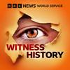 undefined Witness History