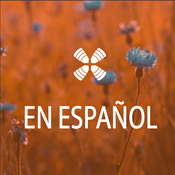 Podcast 1 Year Daily Audio Bible En Español