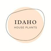 Podcast A Beginner’s Guide to House Plants