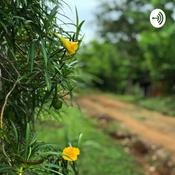 Podcast A Space Of Gratitude