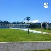 Podcast A VIDA RACIONAL. Áudio Book.