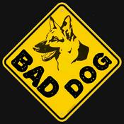 Podcast BAD DOG