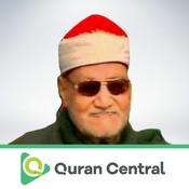 Podcast Abu Aynayn Shaeesha