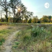 Podcast Agroforestry?