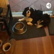 Podcast Alycia’s talk