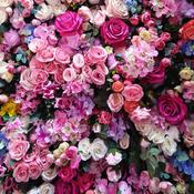 Podcast Anne- Die Sozialmanagerin fragt nach