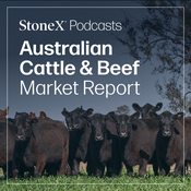 Podcast Australian Cattle and Beef Market Report