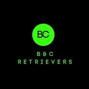 Podcast BC Retrievers