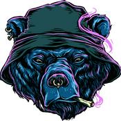 Podcast Bear's World