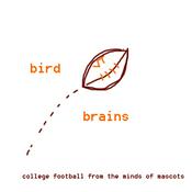 Podcast Bird Brains