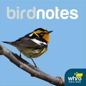 Podcast BirdNotes
