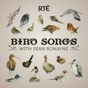 Podcast Bird Songs with Seán Ronayne