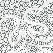 Podcast Born a crime