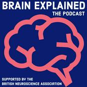 Podcast Brain Explained