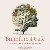 Podcast Brainforest Café