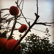 Podcast Braver Leadership with Mike McLaughlin