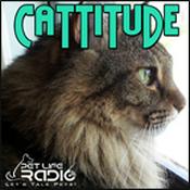 Podcast Cattitude -  The #1 Cat Podcast About Cats As Pets-  Pet Life Radio Original (PetLifeRadio.com)