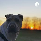 Podcast Corona Quarantine