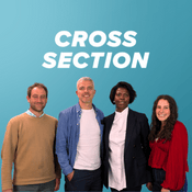 Podcast Cross Section
