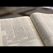 Podcast Daf Hayomi Shiurim in English & Yiddish         R' Ami Maierovits